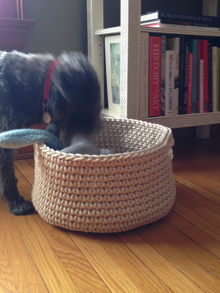 Miles and basket 1280x960